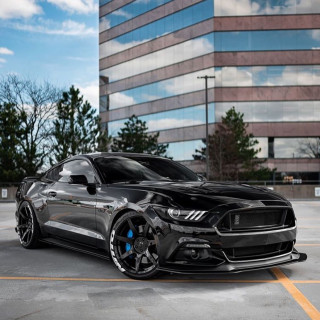 american_muscle_mustangs___B0JfZ-qJs6t___