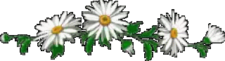 Укр ромашки