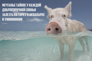 Мечта