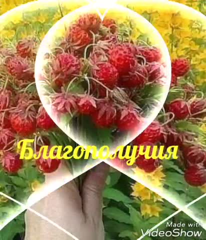 С_началом_хорошего_дня