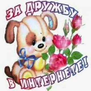 41