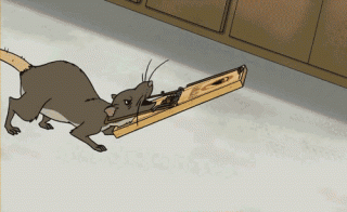 SpecificSleepyAndeancat-size_restricted