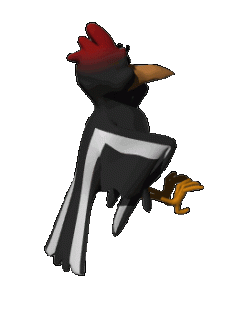 A_AVES_209