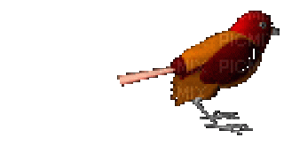 85880_bb758