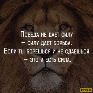 1479132044_zcdeapyacaw