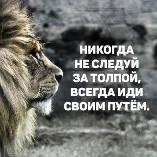 bc29169911f98bee30848ed73d52af17