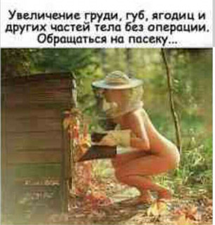 дёшево_и_сердито