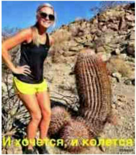 намёк_природы