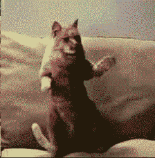 24328261_a195e4ce38463db9b3d211c8b1fe91fb_800