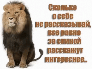 e6300a9eabbfc2354d630468342bb83e