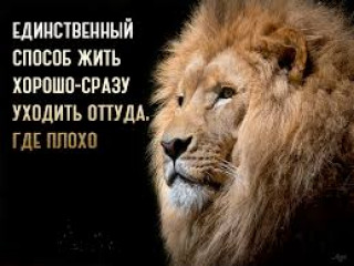 images_1