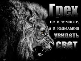 images_6