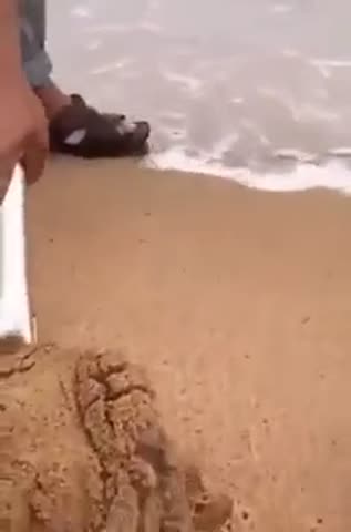 что_можно_найти_на_пляже