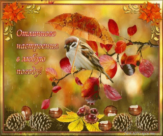 Отличного_настроения_27