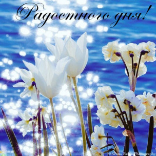 02-41-22-images_13258