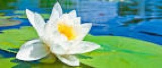 images_22