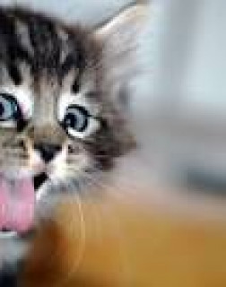 images_2