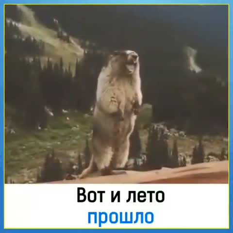 VID-20190901-WA0008