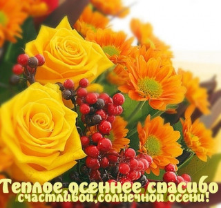 02-39-30-images_11728