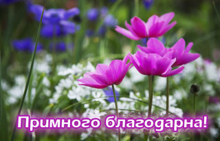 00-38-53-images_4456