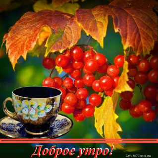 Доброе_утро_02