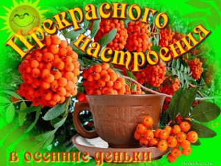 Прекрасного_настроения