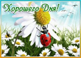 otkrytka-khoroshego-dnya-s-romashkami-59811