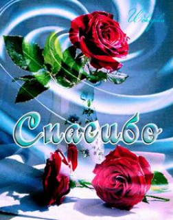 08-40-37-45fb110ccaeeecc9f5219fbe3e2dfa43