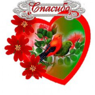 08-40-07-6a6197b9782162a00ab04832c26703ae