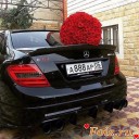 smotra63___B138iRwCLVC___