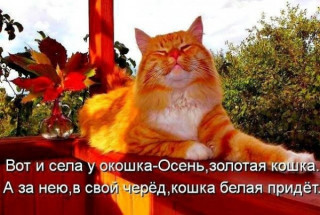 248496645_p_600_600_0