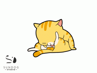 lick_800x600