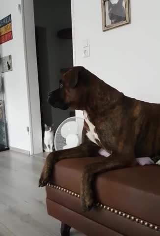 VID-20190911-WA0001