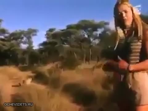 бессмертная