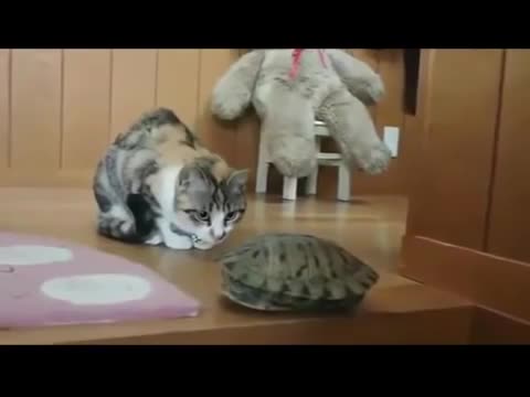 Песенка_про_друзей