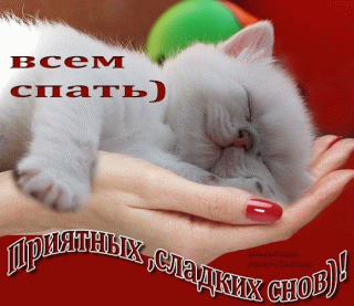 vsem-spat-priyatnyx-sladki-snov