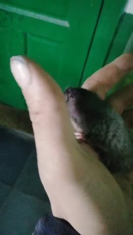 VID_20190910_131901-