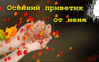 Осенний приветик