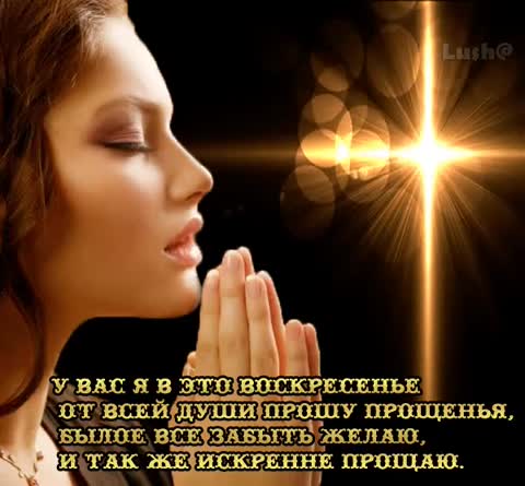 прощения прошу