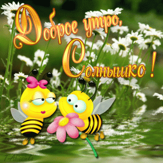 b8c437390eeadca1568caa3eb7d58524