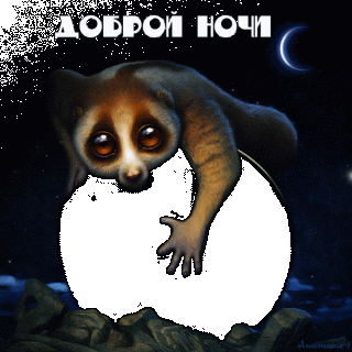 Доброй ночи