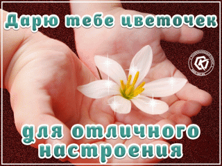Дарю цветочек