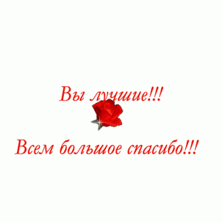 Вы лучшие