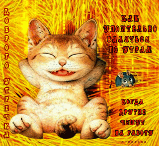 Всем на работу_ а я дома