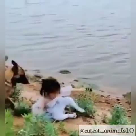 Спасатель