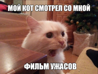 OXS3Z0XyL5A