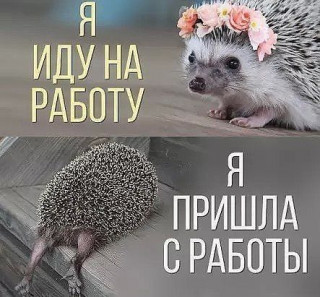 Sn78WS9lpew