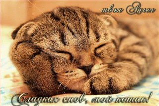 Сладких снов