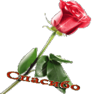 Роза спасибо