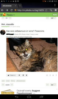 кошак